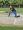 nagar-cricket-academy-playing-shot